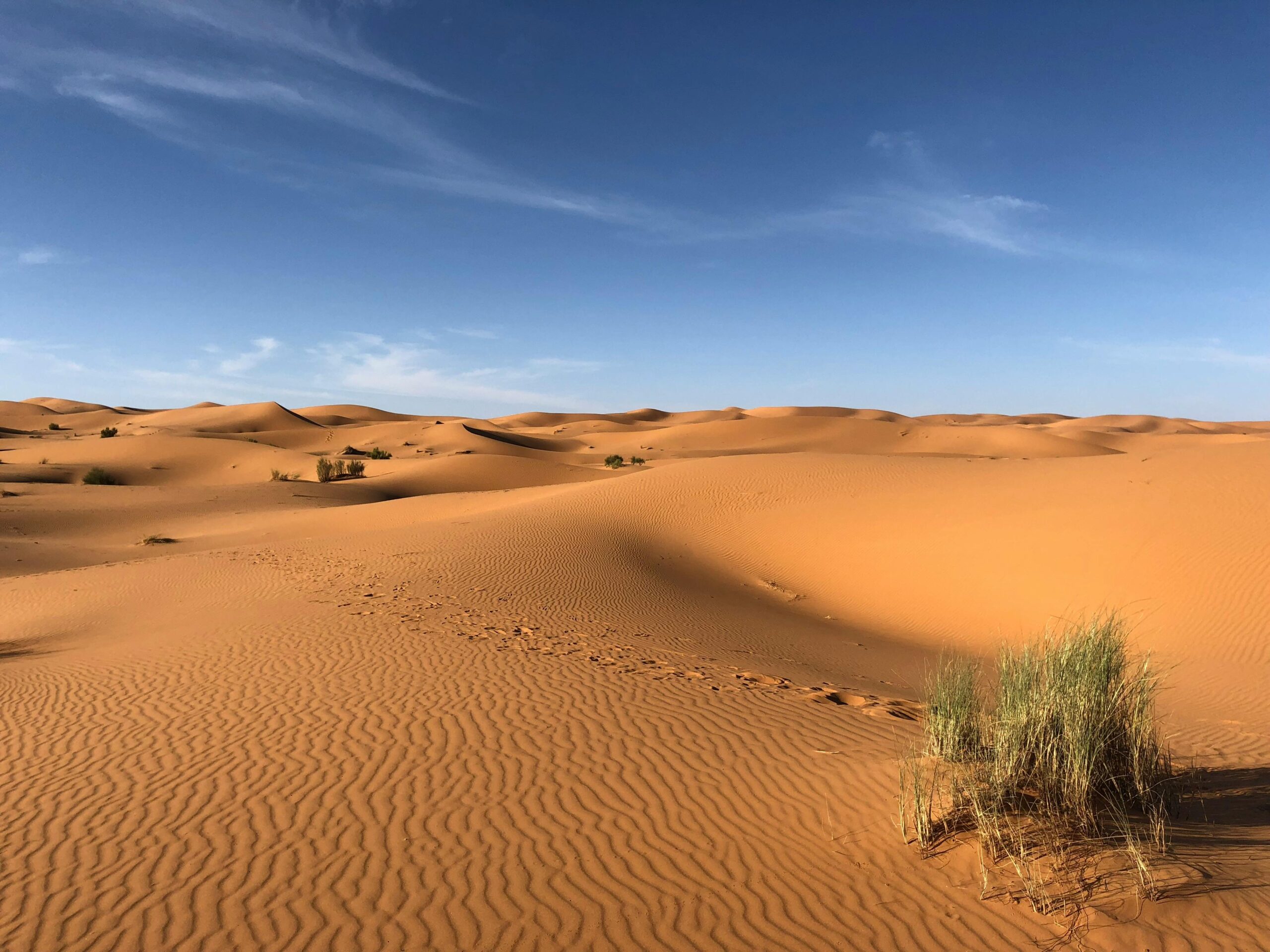 pexels-photo-1001435-1001435 Explore the beautiful sand dunes under a clear blue sky in Egypt's striking desert landscape.